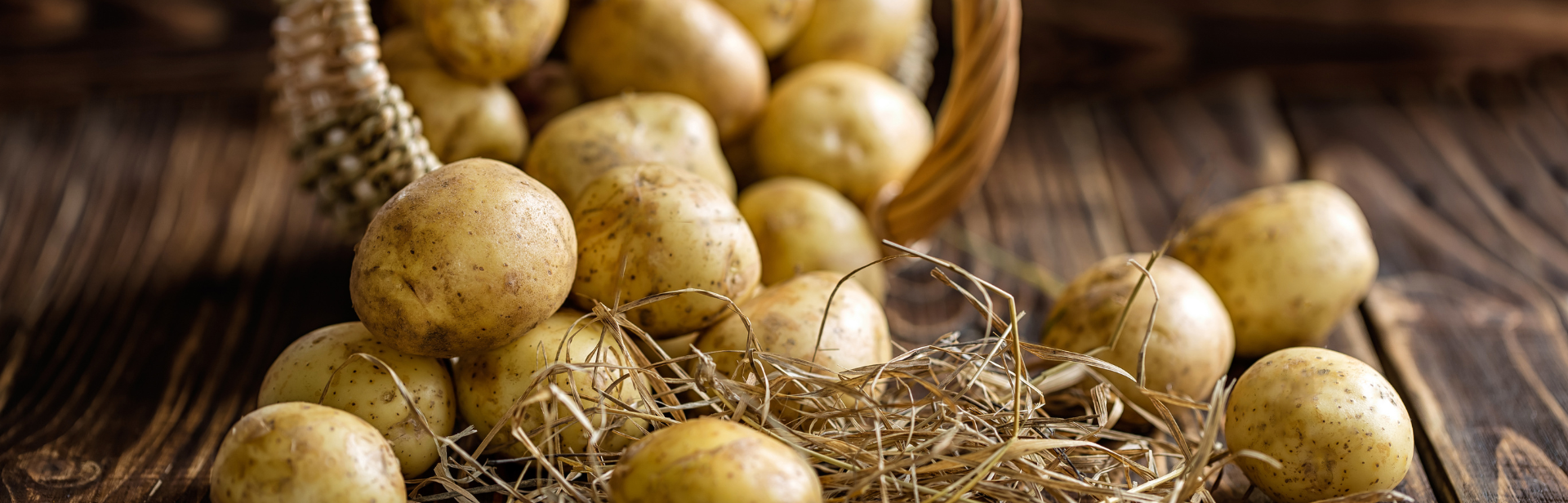 Sorte de patate - Épatante Patate! du Québec