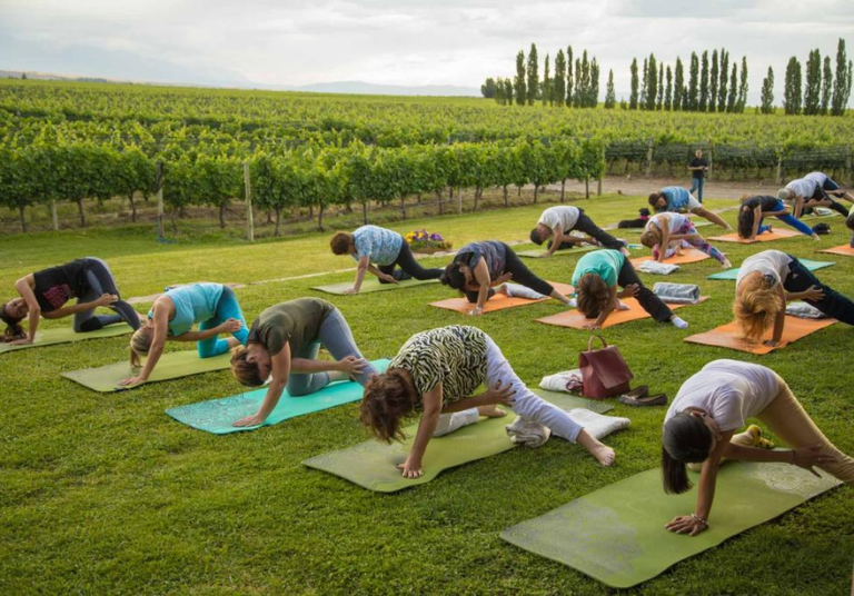Great Wine Capitals_Yoga along the Wine Paths