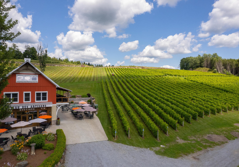 Vignoble Coteau des Artisans