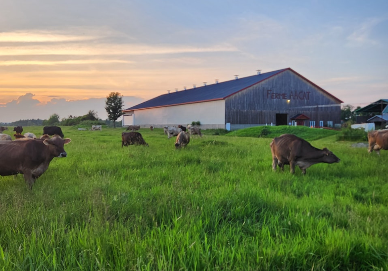 Fromagerie les Grondines