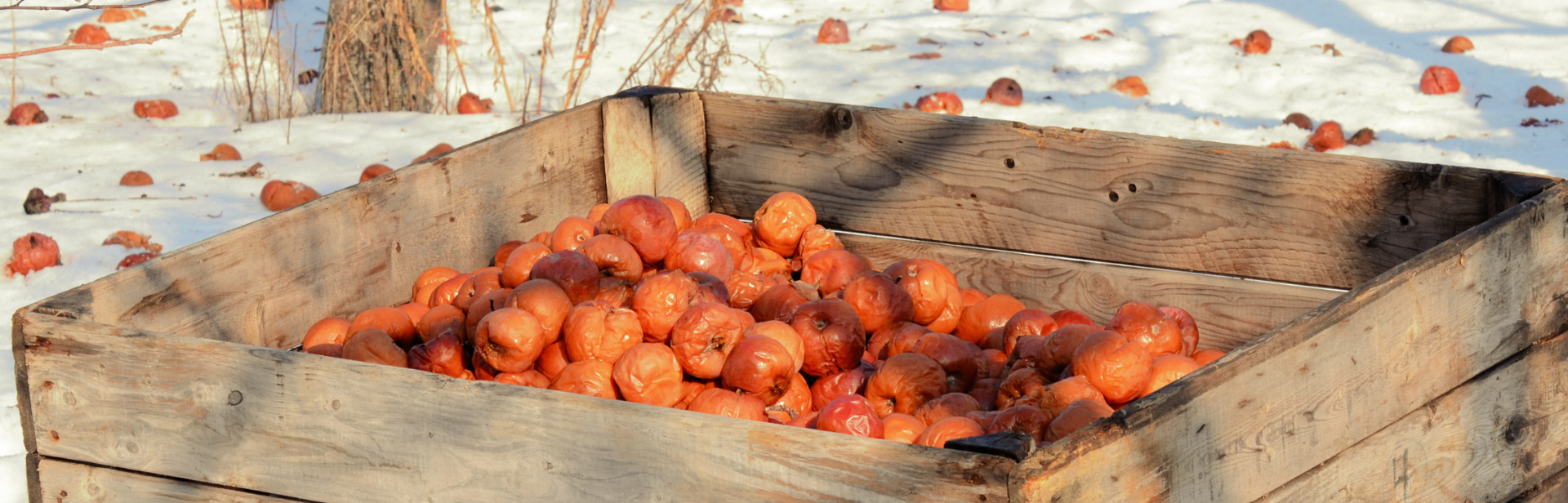 Cidre de glace (2)