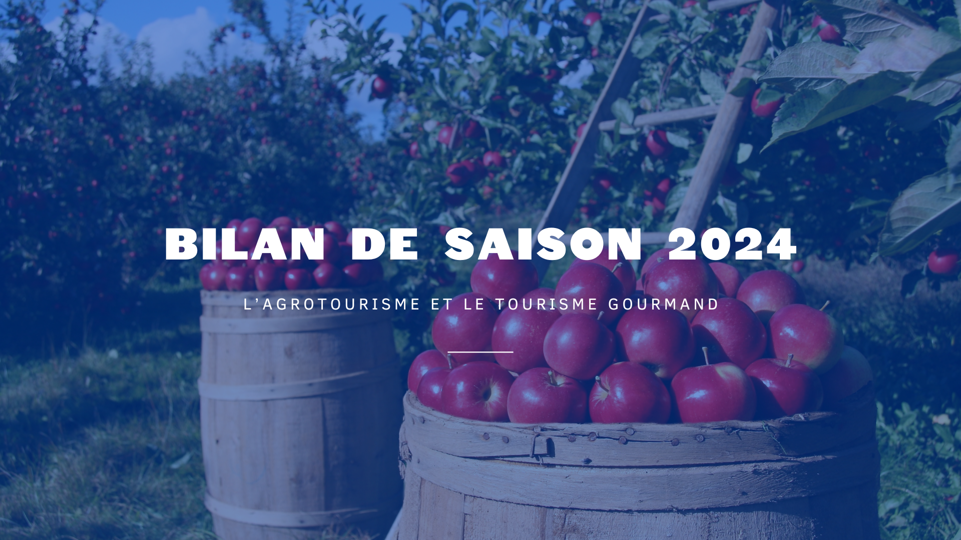 Bilan de saison 2024