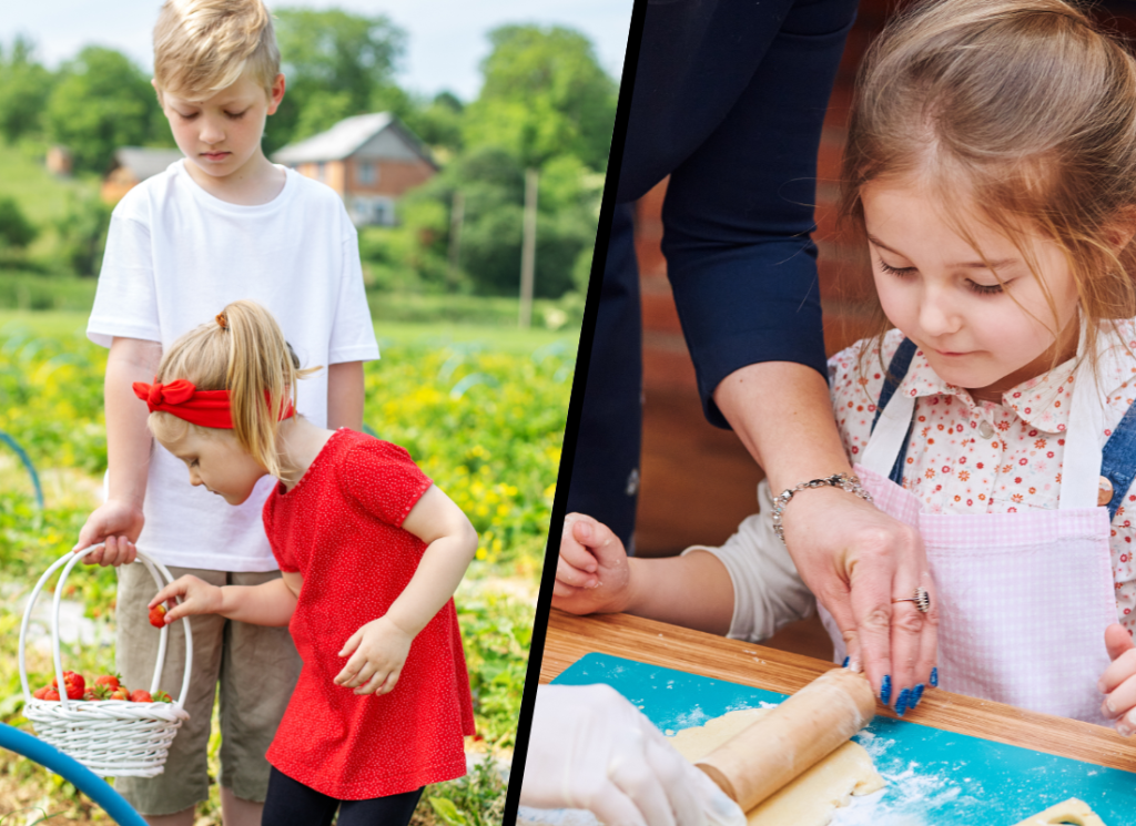 Forfaitisation - Atelier de cuisine